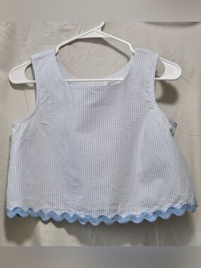 Japna Blue and White Striped Crop Top
